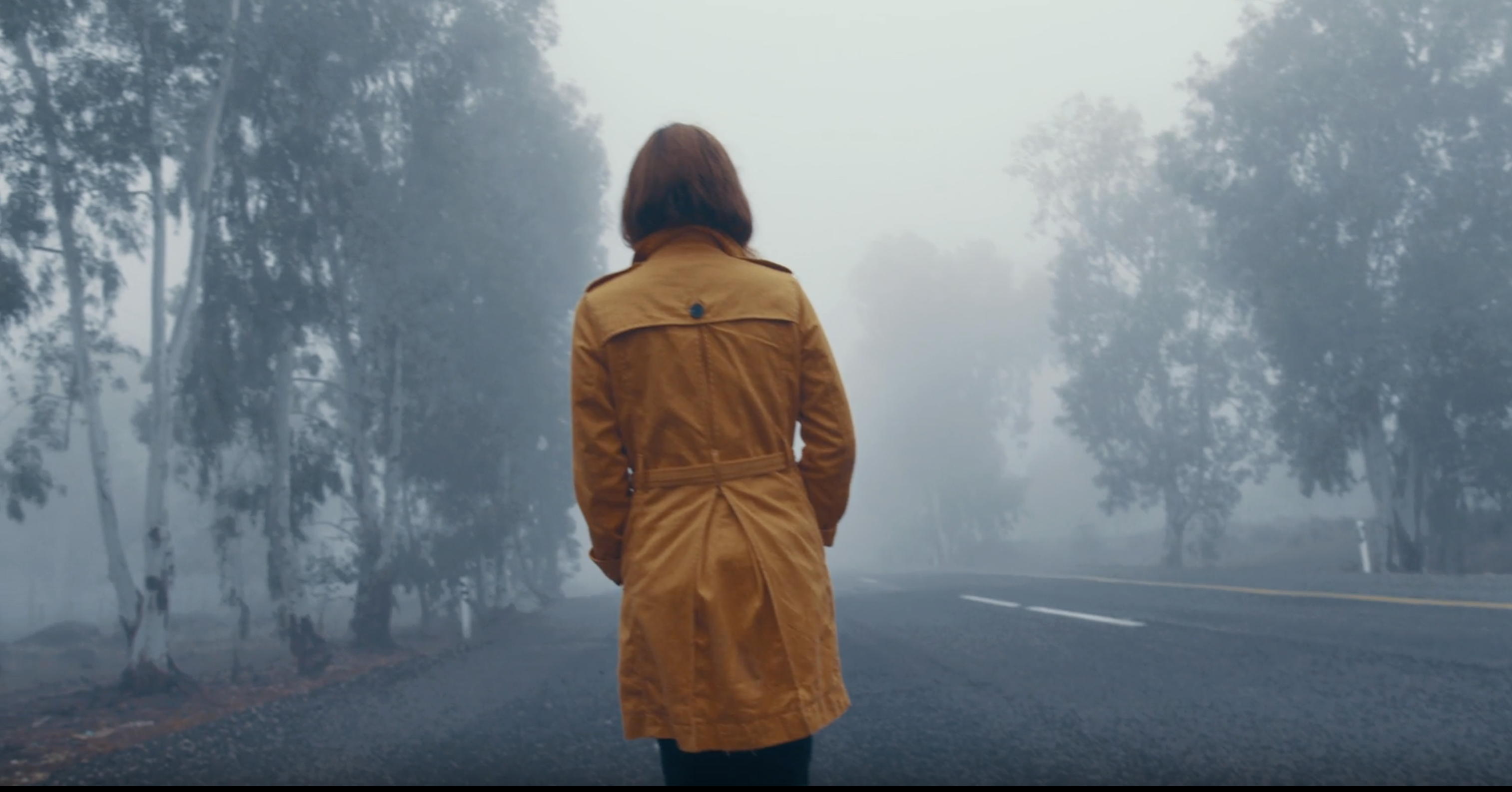 A figure in a coat on a misty road