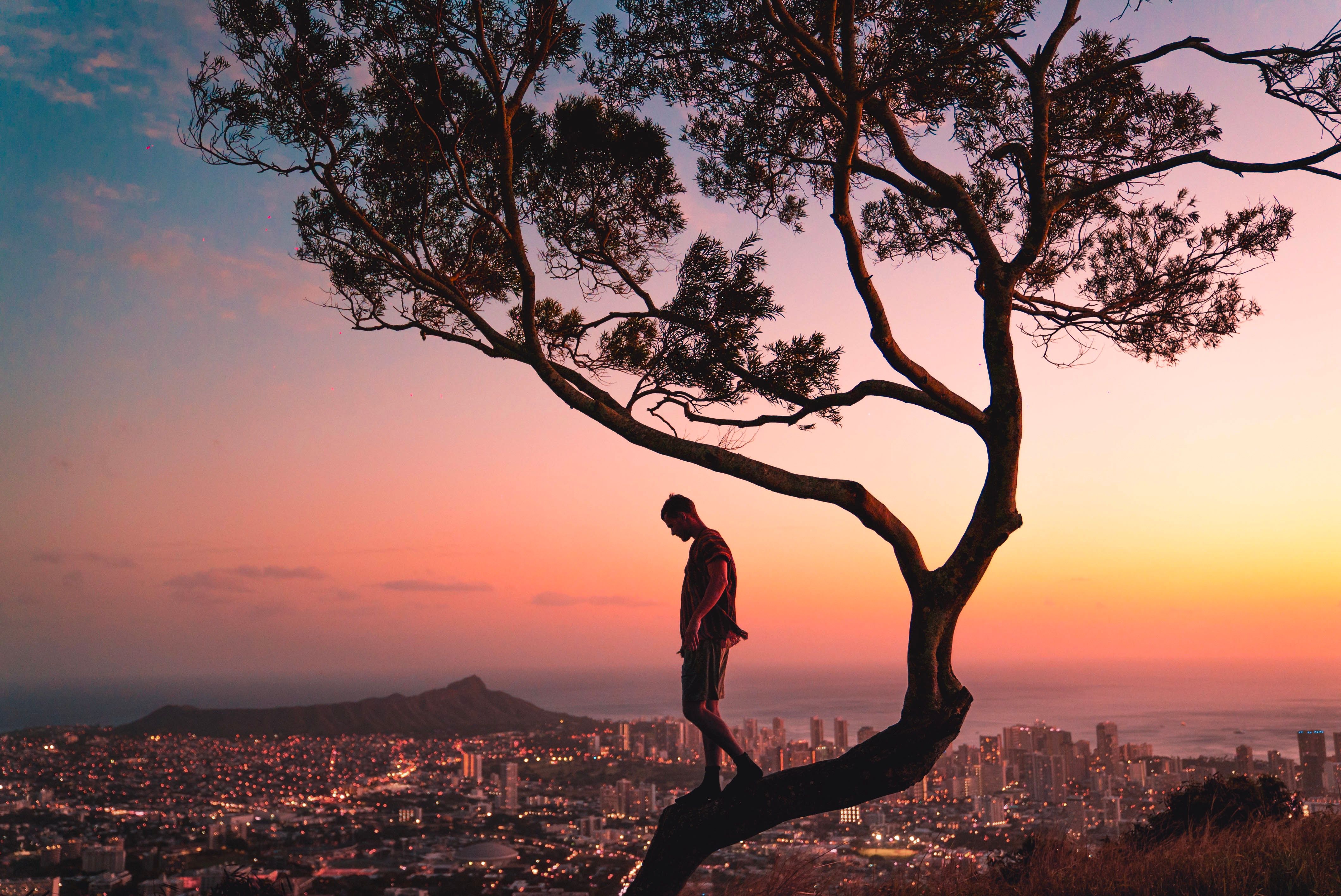 A traveller resting on a tree over the city at dusk